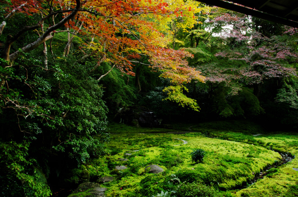 瑠璃光院