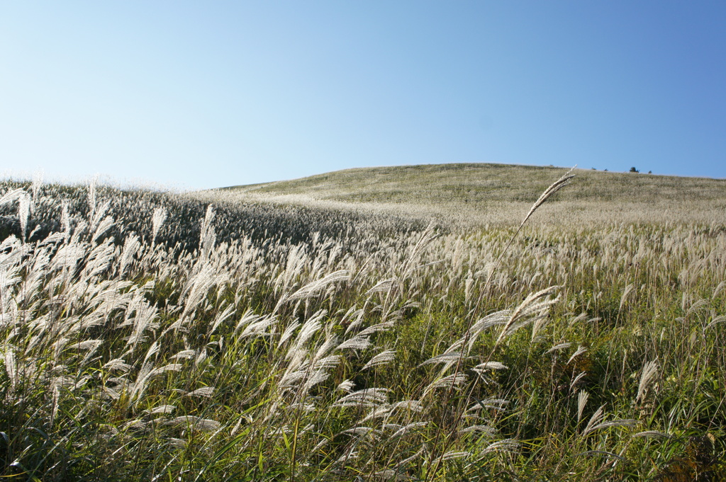 ビーナスライン