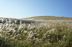 ビーナスライン