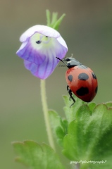 春一番に花タッチ