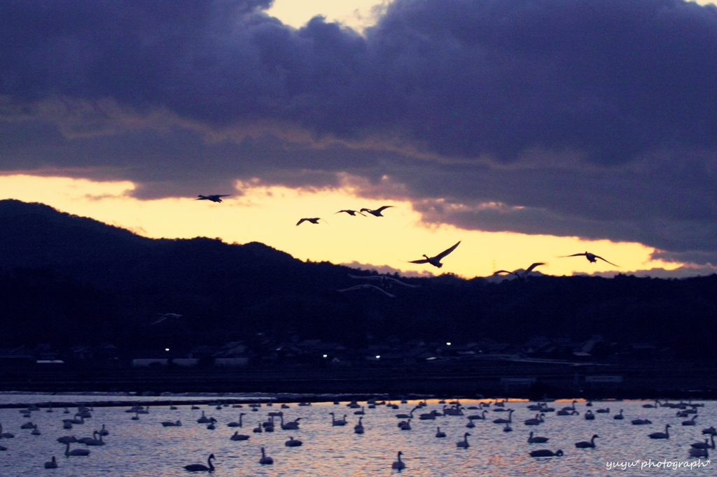 夕暮れ^^