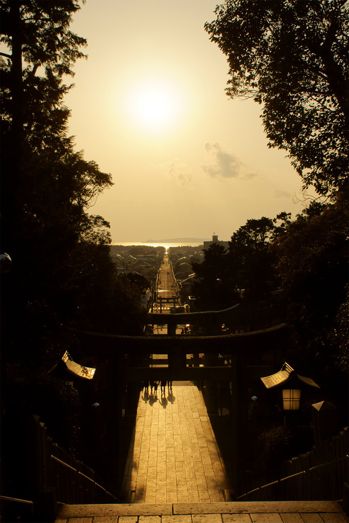 太陽が照らす道