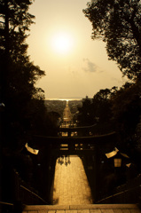 太陽が照らす道