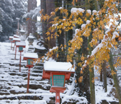 雪の参道