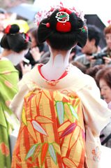 舞妓さんの後ろ姿