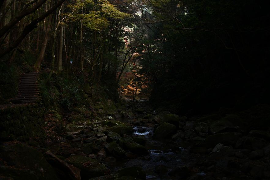紅葉明かり/赤目四十八滝
