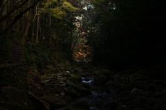 紅葉明かり/赤目四十八滝