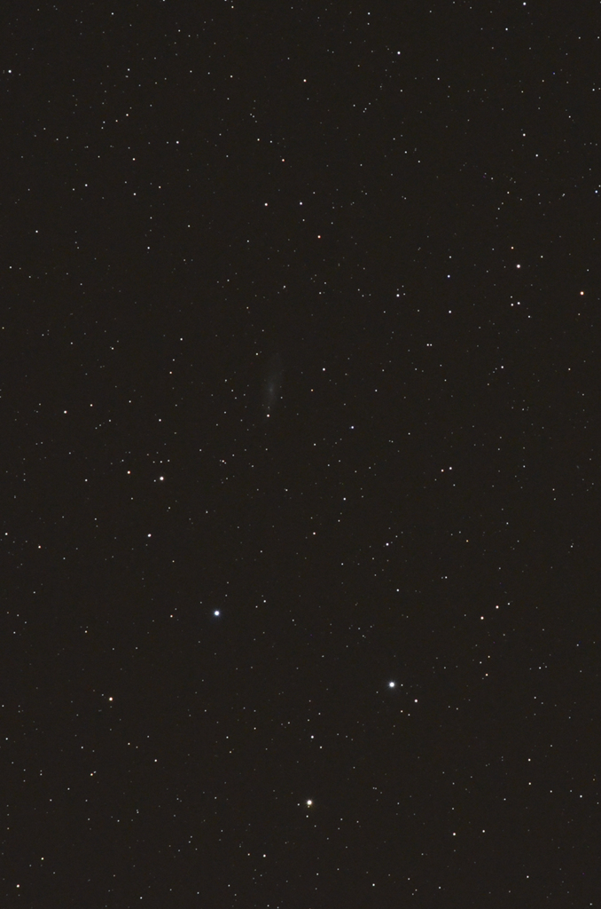 くじら座のSc型銀河NGC247
