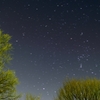 冬の星たち