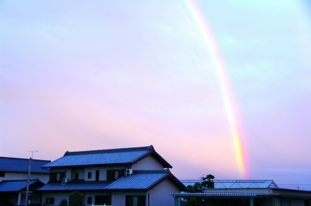 希望の架け橋