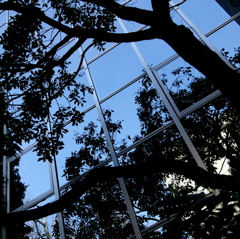 窓の空。