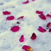 残雪。
