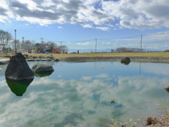 空と池との間には