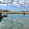空と池との間には