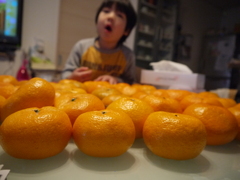 無限のみかん