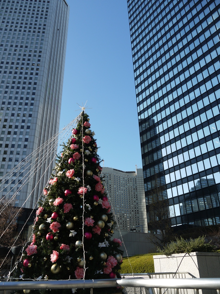 三井ビルクリスマスツリー