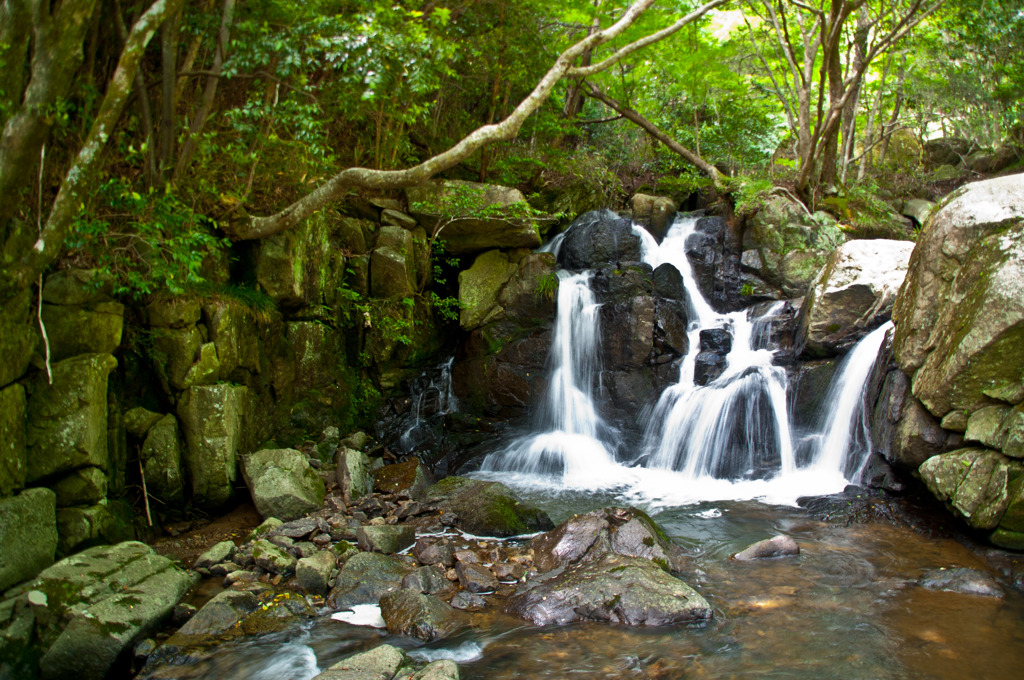 尼ン滝