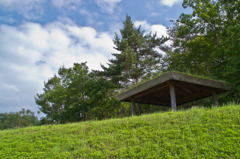 屋根緑化