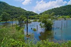 湖面