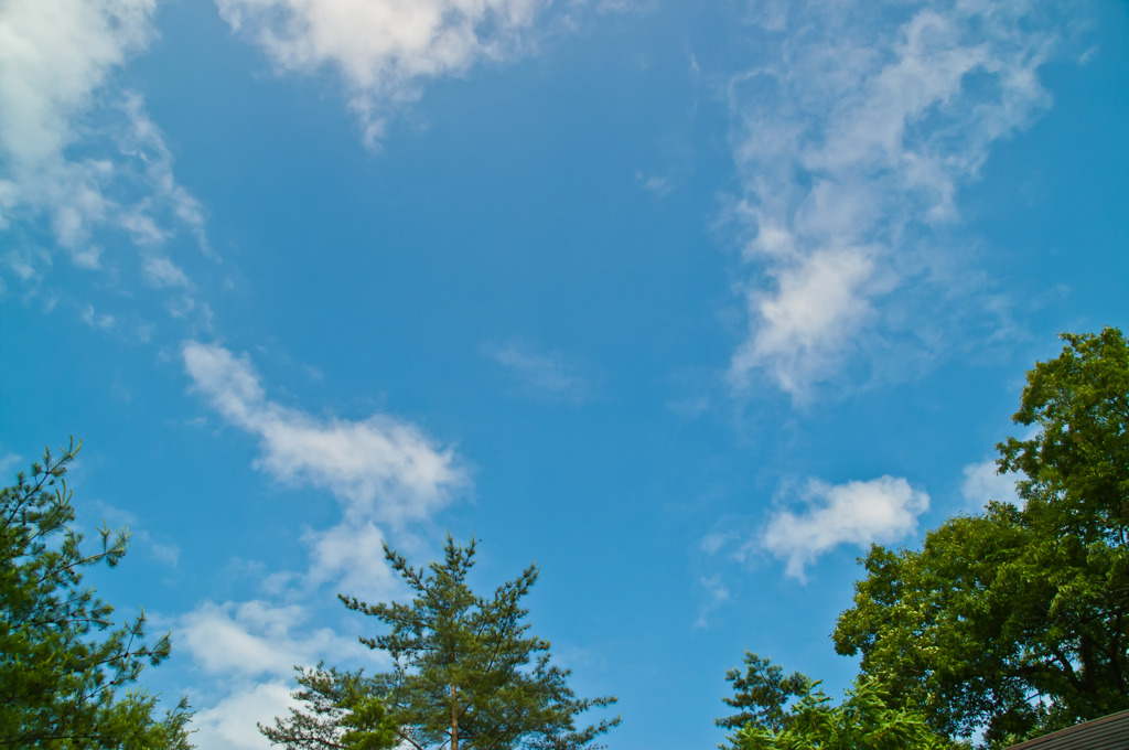 sky blue in Sanda