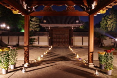 11/20雲龍院ライトアップ2