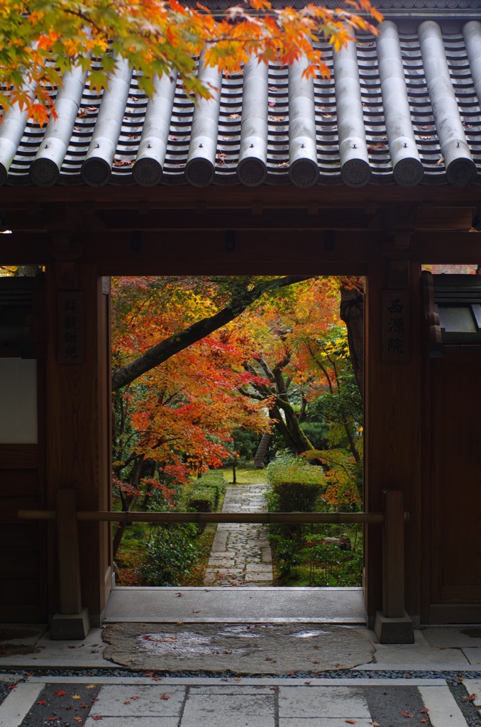 11/23龍安寺