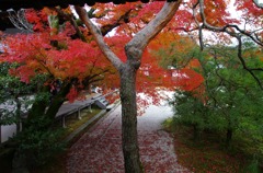 11/23仁和寺
