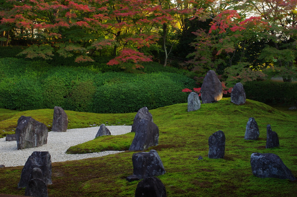 11/19光明院