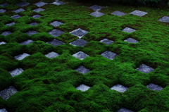 11/19東福寺方丈庭園