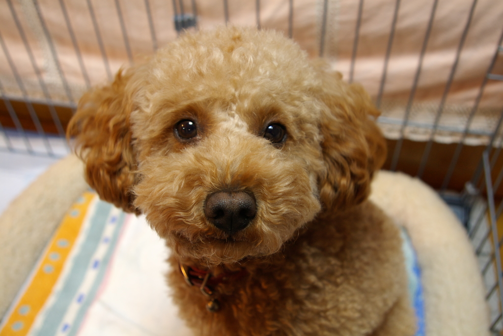 そんな目でおれを見るな・・・