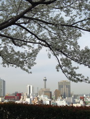 山手イタリア山庭園からの眺め