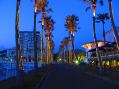 逗子マリーナの夕景