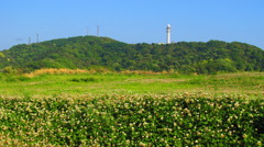 大楠山