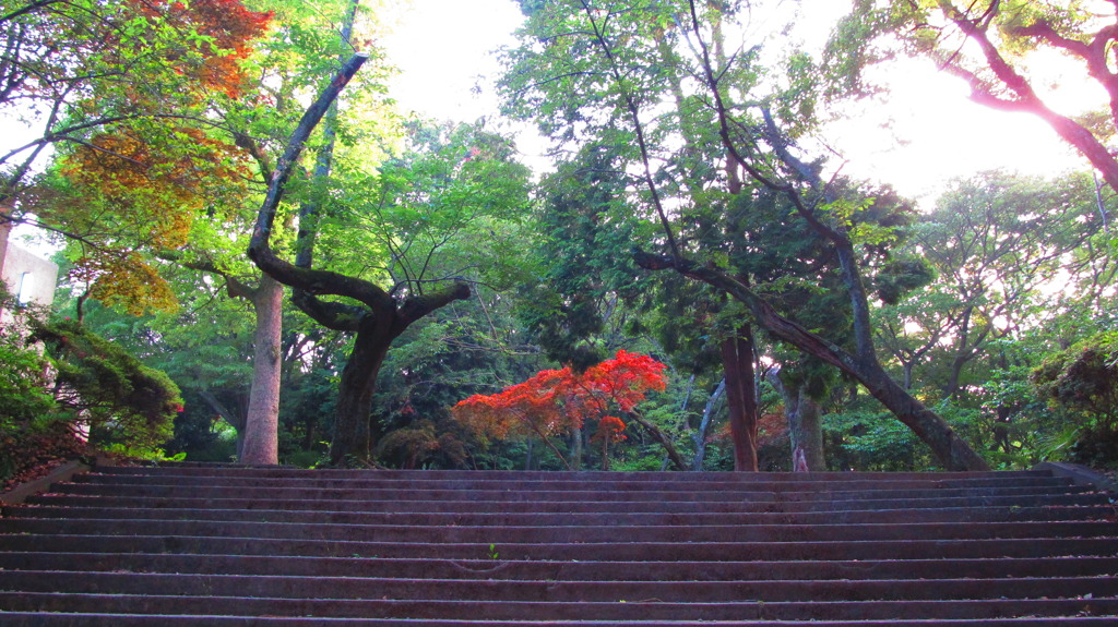 源氏山（鎌倉）