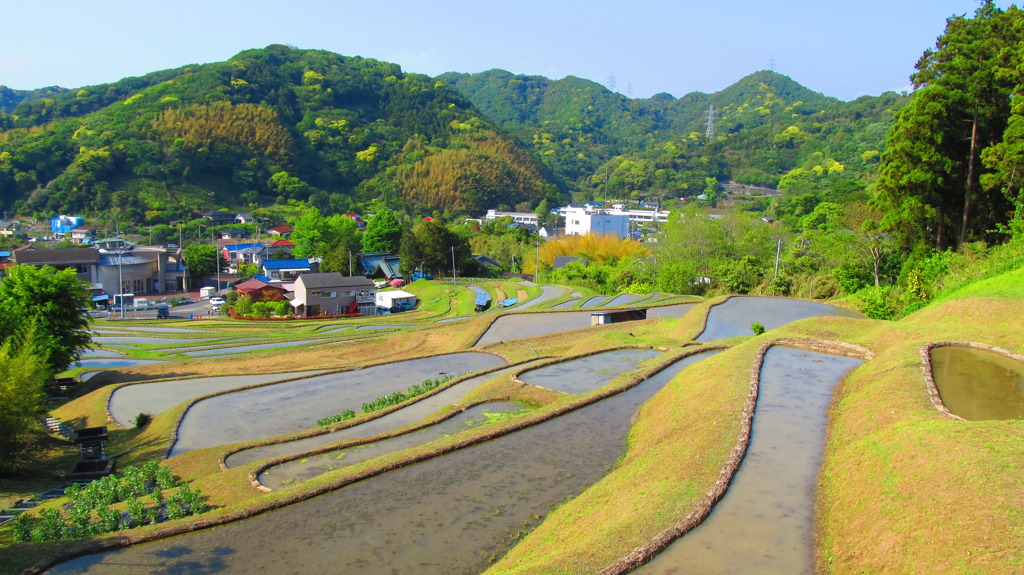 葉山の棚田