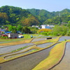 葉山の棚田
