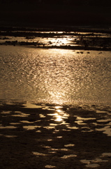 DSC04011