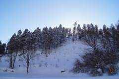 DSC02761
