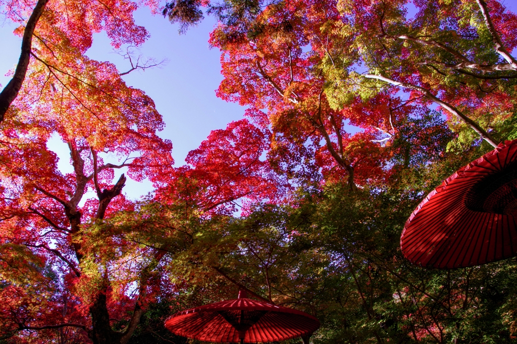 色彩につつまれて