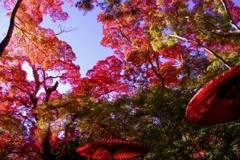 色彩につつまれて