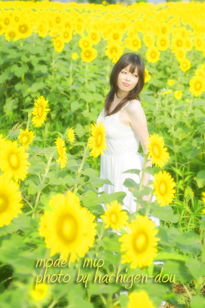 mio1