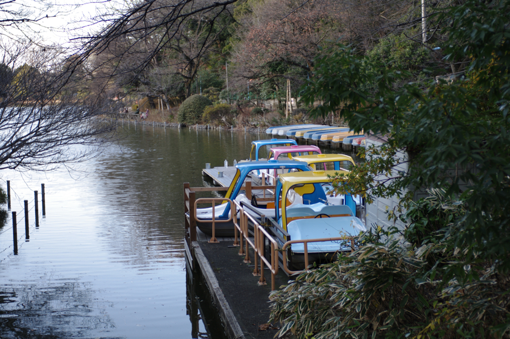 善福寺_05