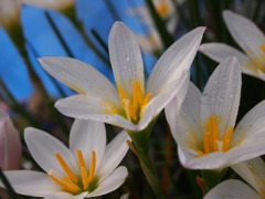 P9110094
