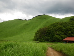 IMGP0539