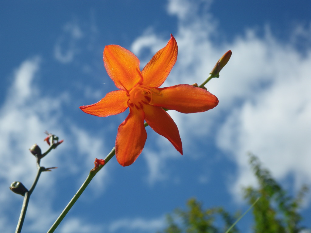 IMGP0495