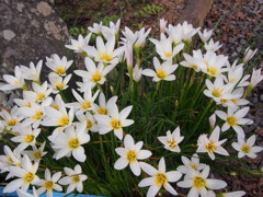 P9110095