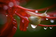 時雨上がり