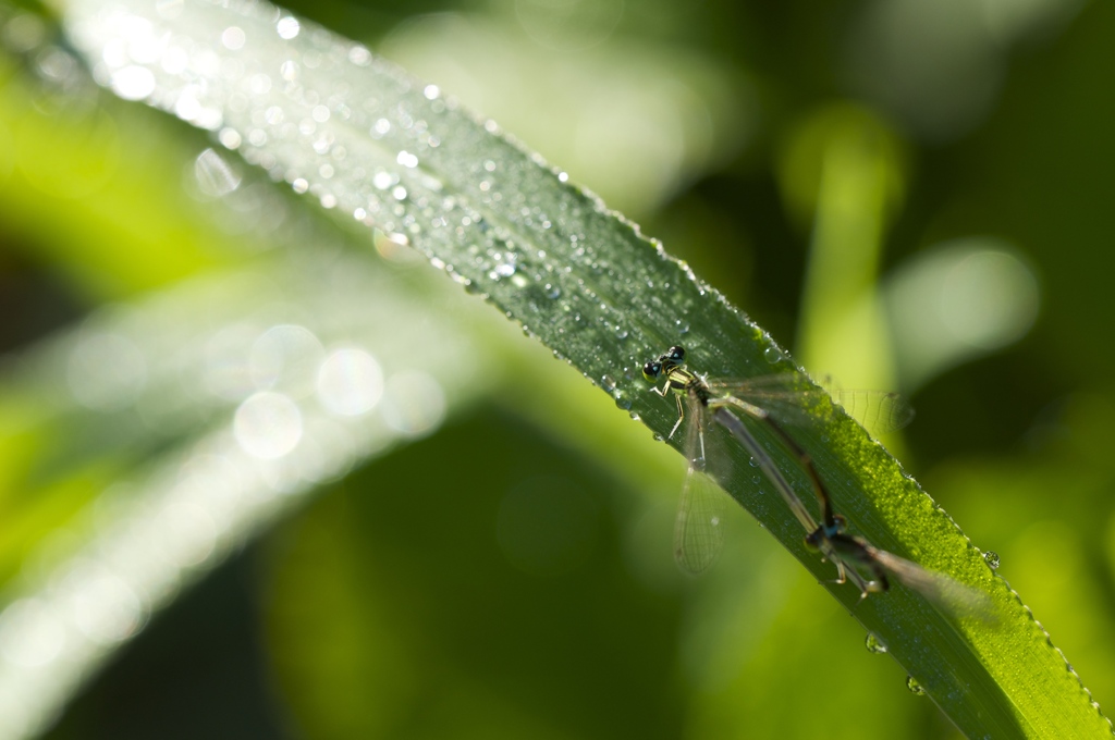 雨やんで