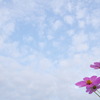 秋空