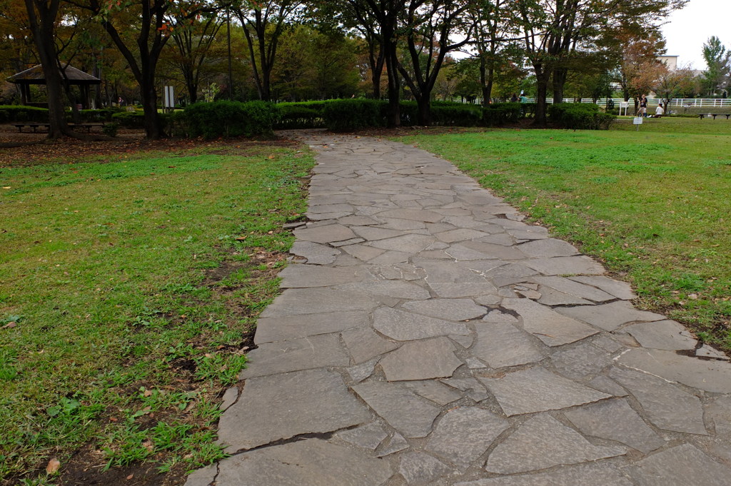 近所の公園で